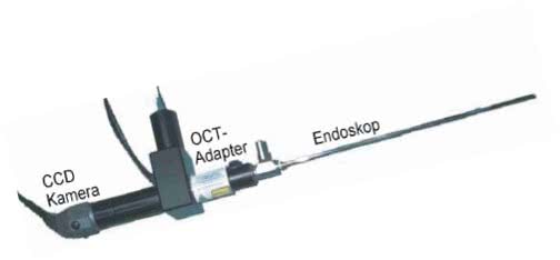 Endoscope with OCT adapter